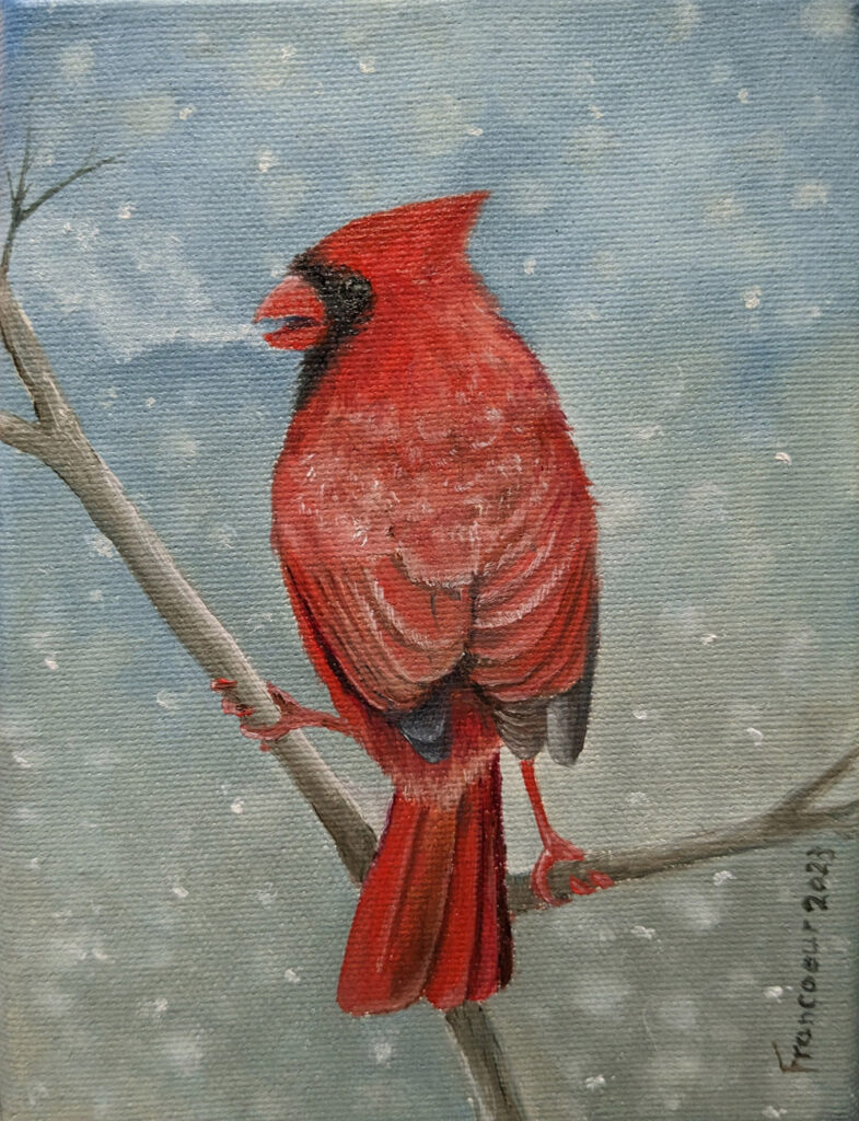 Cardinal 